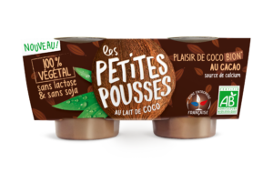 Dessert végétal coco cacao