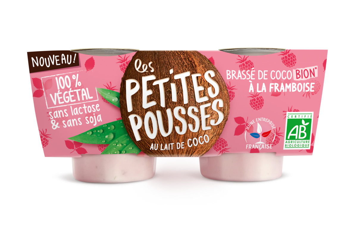 Vrai-Faux-yaourt-v%C3%A9g%C3%A9tal-coco-Framboise-1200x848.png