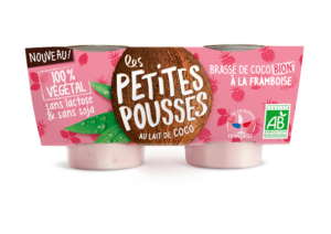 Vrai Faux yaourt végétal coco Framboise