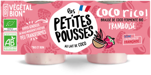 Dessert bio sans lactose à la framboise et lait coco