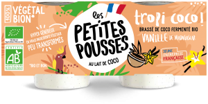Dessert sans lactose coco vanille yaourt végétal