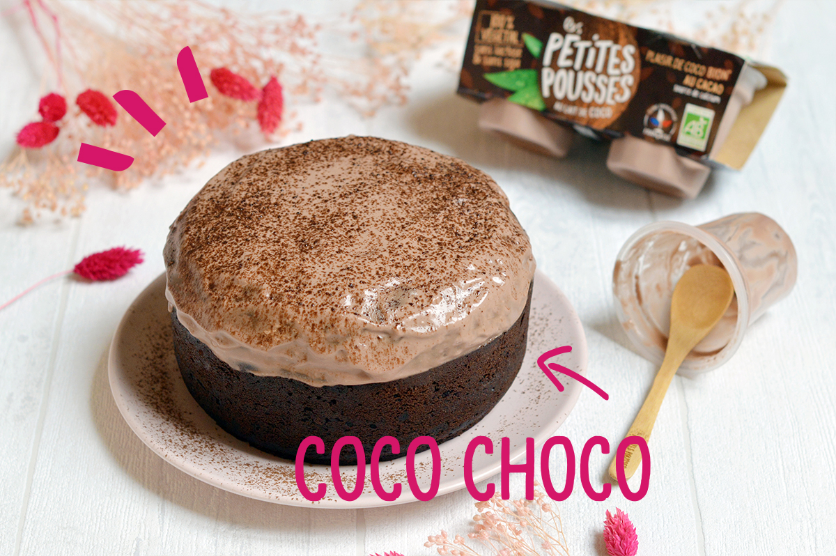 Recette Gateau Choco Coco Vegetal Le Vrai Faux Yaourt Vegetal Recette Gateau Choco Coco Vegetal Le Vrai Faux Yaourt Vegetal