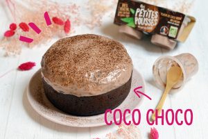 Recette Gateau Chocolat coco sans lactose