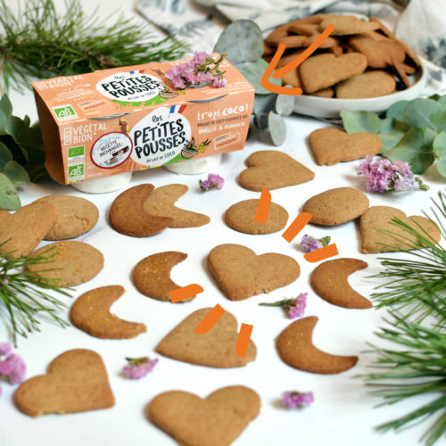 biscuits aux épices