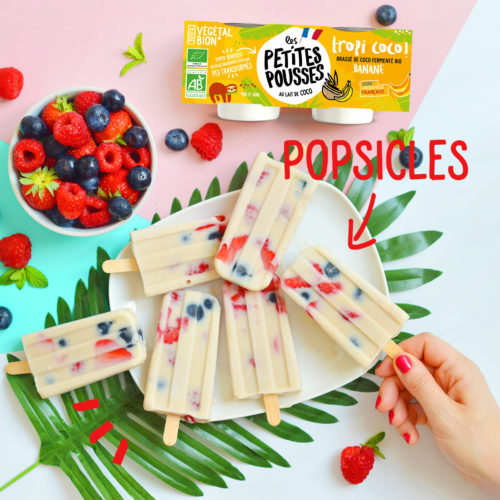 Popsicles fruits coco vegan