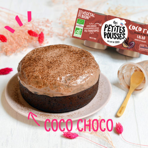 Gateau choco coco