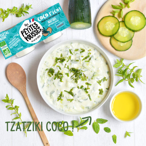 Tzatziki coco vegan