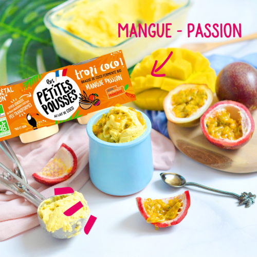 Sorbet aux fruits coco vegan