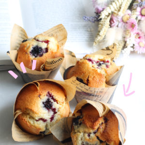 Les bionnes recettes