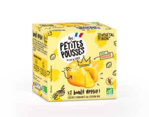 petites pousses-fondant-citron-3d Vrai faux yaourt lait de coco et citron